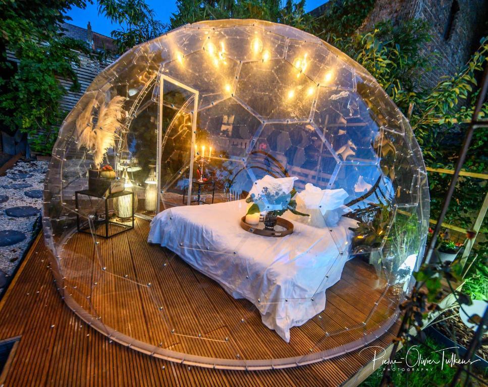 Nuit romantique dans une bulle transparente illuminée dans le jardin