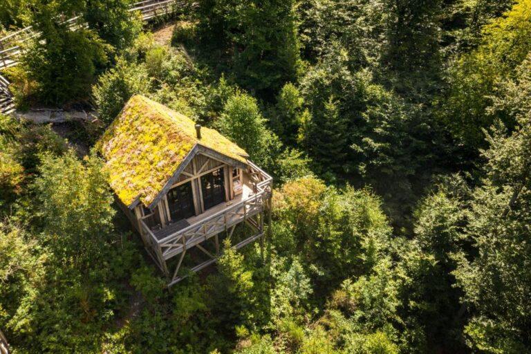Les Cabanes de Rensiwez à Mabompré – cabane insolite en hauteur au milieu des arbres, terrasse en bois et toit végétalisé (Belgique)