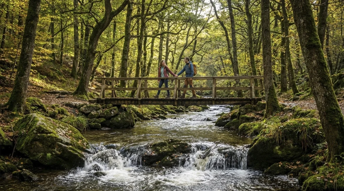 Couple se tenant la main sur un pont en bois lors de la promenade de la Hoëgne, randonnée romantique au cœur de la forêt